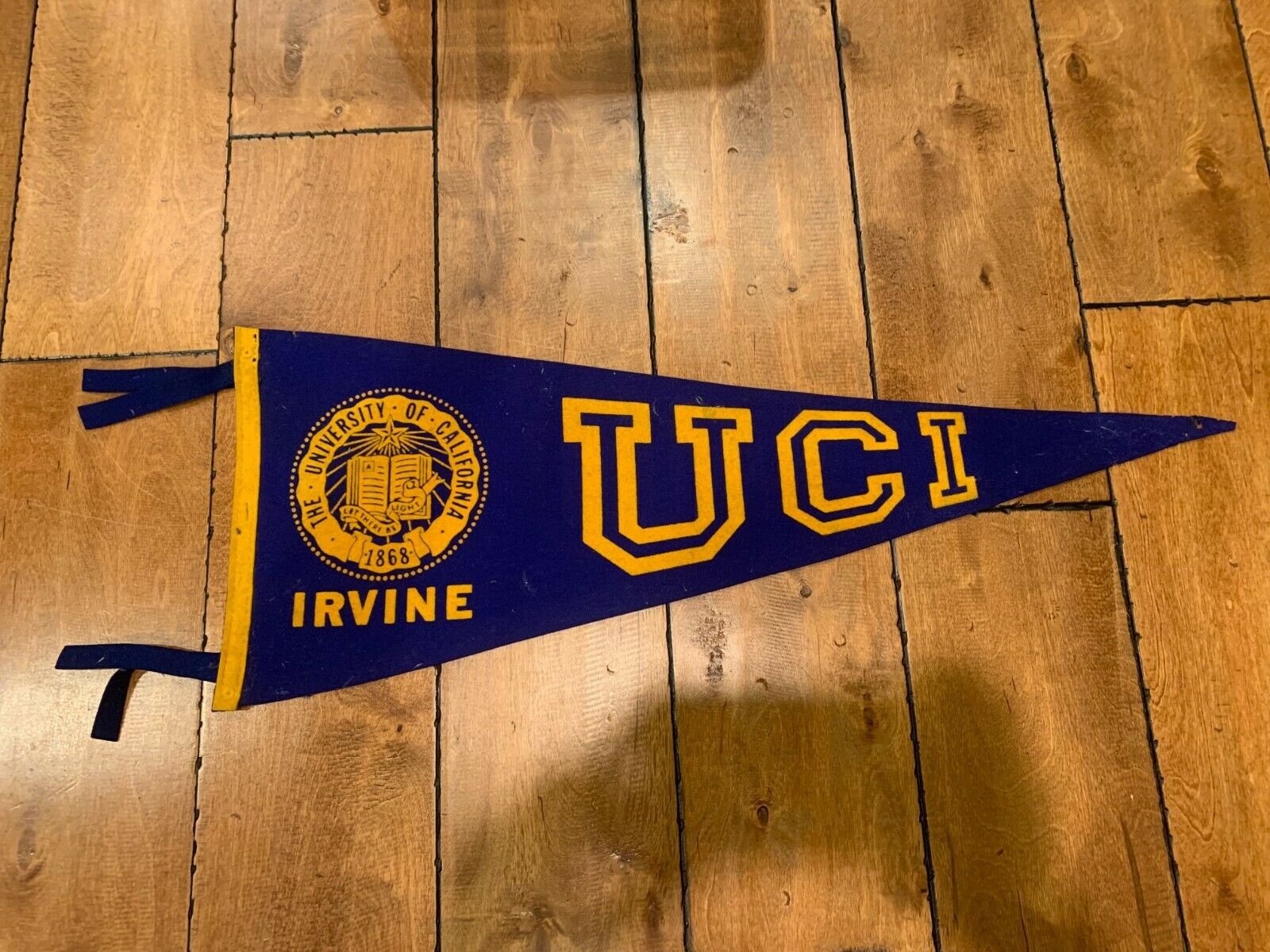 Vintage University Of California Irvine Uci Felt Pennant Full Size 30"