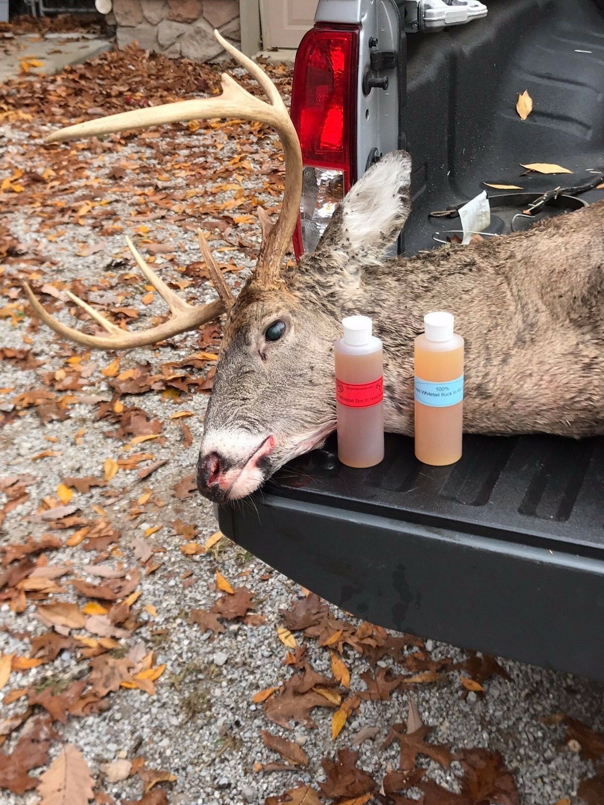 100% Fresh Doe In Heat Urine Buck Lure,deer, Sent, Archery