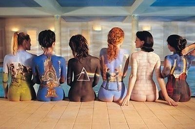Pink Floyd - Back Art Poster - 24x36 Albums Sexy Girls 9098